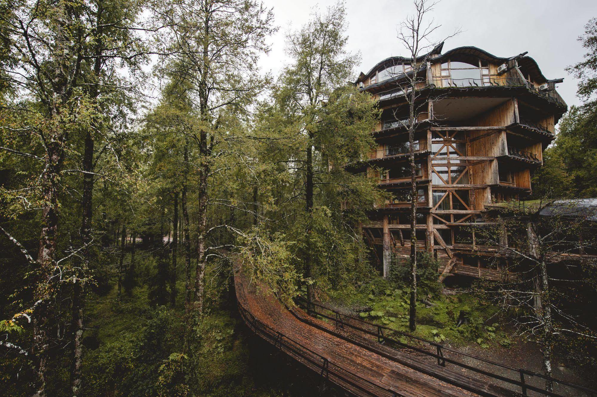 Huilo Huilo Nothofagus Hotel & Spa Puerto Fuy Exteriör bild