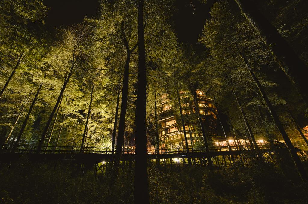 Huilo Huilo Nothofagus Hotel & Spa Puerto Fuy Exteriör bild